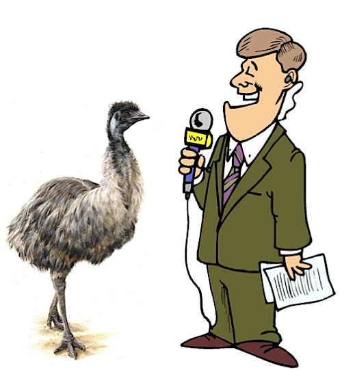 Reporter and Emu