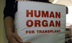 Useful organs here...