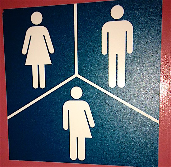 genderfreewashroom icon